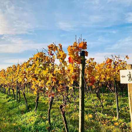 Winzerhotel Kinges-kessel Morstadt