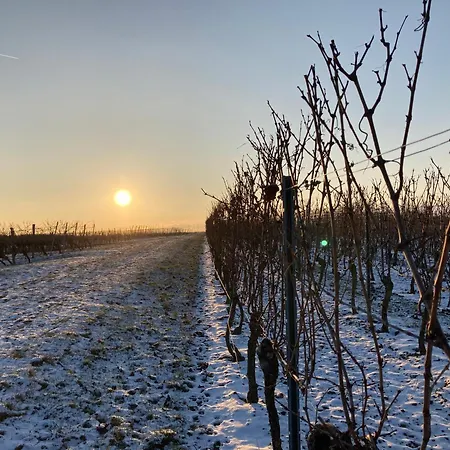 Winzerhotel Kinges-kessel 3* Morstadt